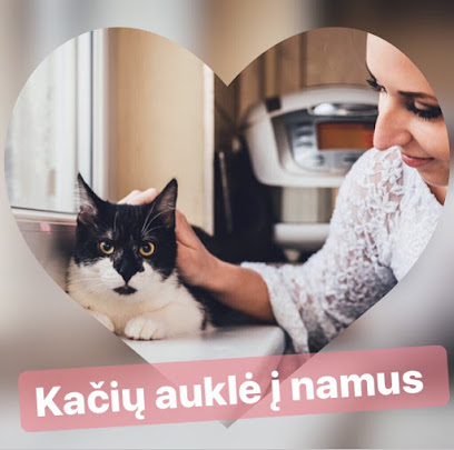 Cat sitter / Kačių auklė