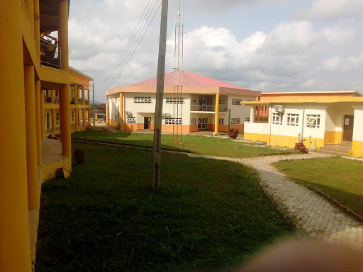 University of Medical Sciences,Odoshida Campus, Odoshida St, Ondo, Nigeria, Nursing Agency, state Osun