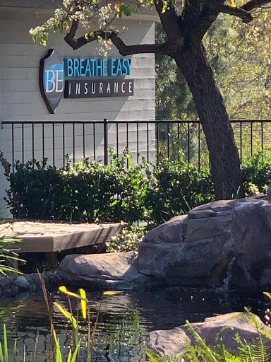 Insurance Agency «Breathe Easy Insurance Solutions», reviews and photos