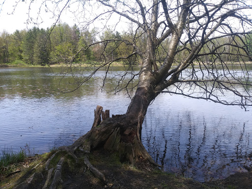 Nature Preserve «Reinstein Woods Nature Preserve», reviews and photos, 93 Honorine Dr, Depew, NY 14043, USA