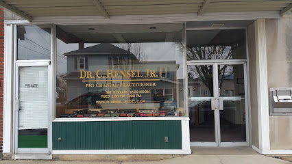 Hensel Chiropractic Center Inc - Pet Food Store in Baltic Ohio