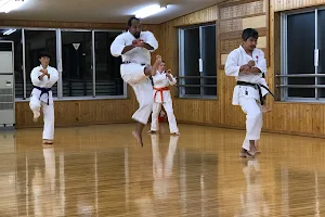 Japan Karate Association image