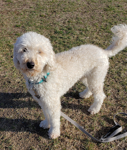 Osseo Veterinary Clinic