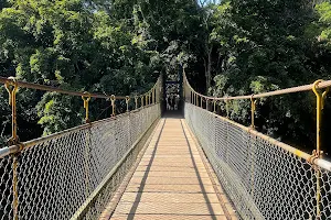 Baichanahalli Hanging Bridge image
