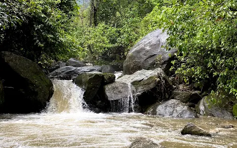 Malabar Wildlife Sanctuary image