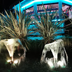 Photo n°3 de l'avis de Andrea. fait le 18/08/2023 à 22:22 sur le  Isola | Lignano food & drink à Lignano Sabbiadoro