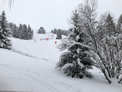Chalet Veronica - Ski Cuisine à Les Allues