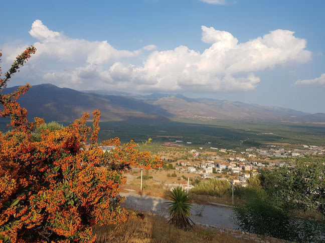 Άσυλο Ανιάτων / Γηροκομείο Μολάων