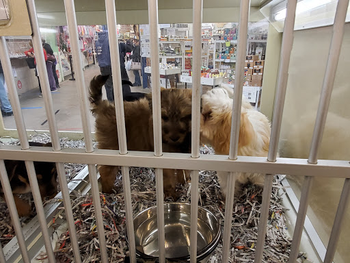 Pet Store «Back To Nature Pets & Grooming», reviews and photos, 110 N Dupont Hwy, New Castle, DE 19720, USA