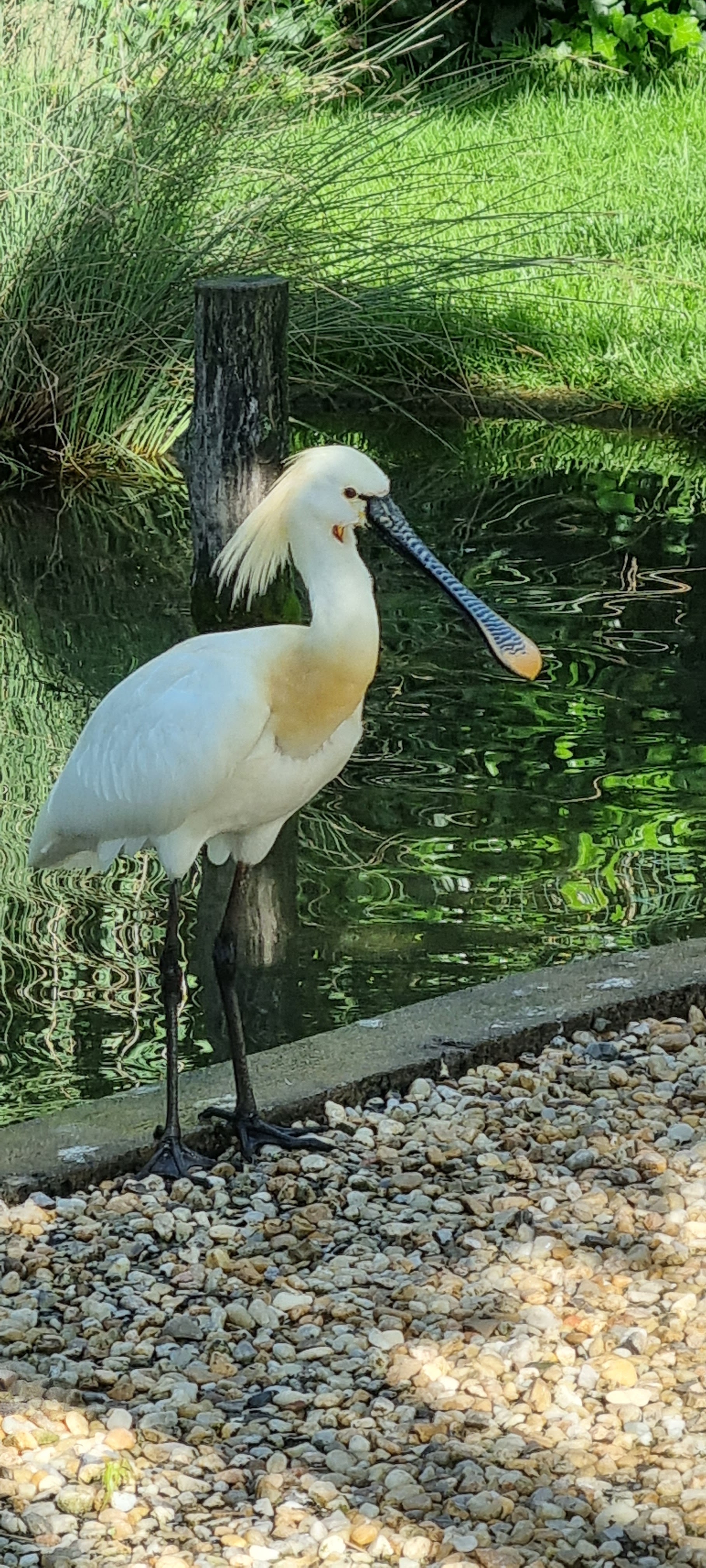 Photo n° 4 de l'avis de Anne.a fait le 25/04/2022 à 13:04