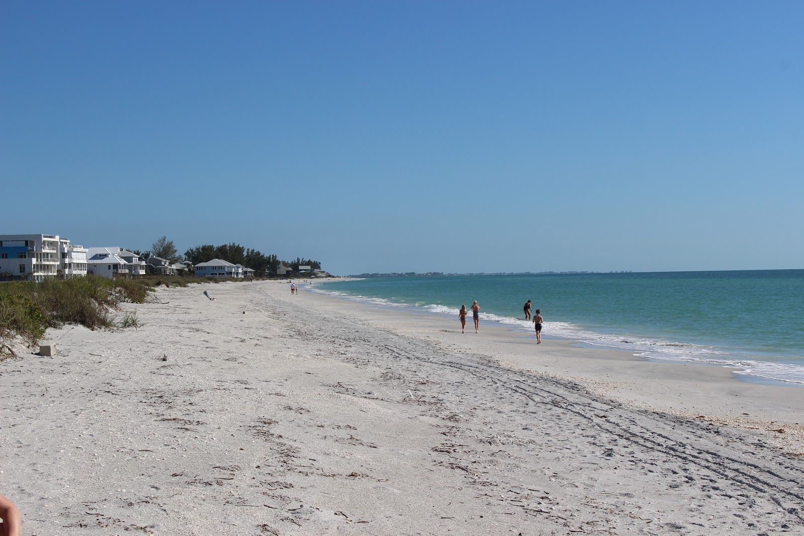 Photo de Palm Island beach avec rivage droit, long