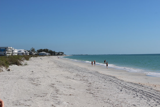 Palm Island beach