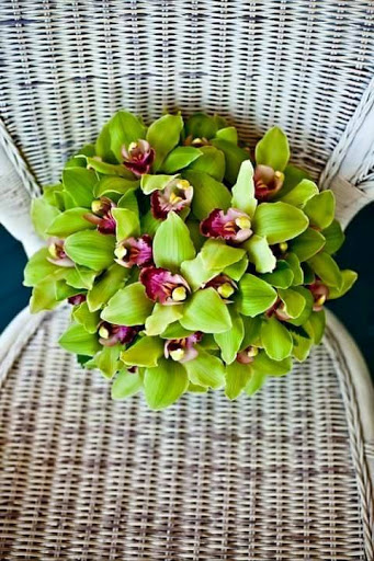 Florist «Primavera Florist Pedro», reviews and photos, 5510 W Flagler St, Coral Gables, FL 33134, USA