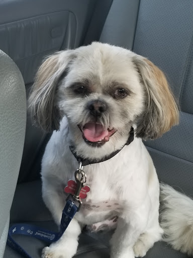 Pet Supply Store «PetSmart», reviews and photos, 70 Worcester-Providence Turnpike #240, Millbury, MA 01527, USA