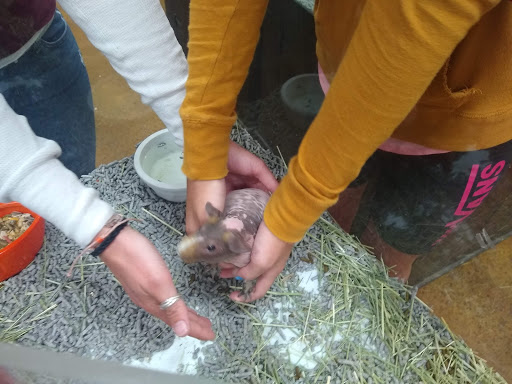 Pet Store «Katie’s PET DEPOT®», reviews and photos, 1941 Foothill Blvd, La Verne, CA 91750, USA