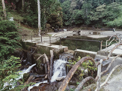 Taman Rimba Templer