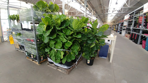 Home Improvement Store «The Home Depot», reviews and photos, 8101 Moores Ln, Brentwood, TN 37027, USA