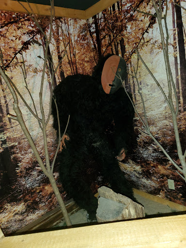 Historical Landmark «Pocono Indian Museum», reviews and photos, 5905 Milford Rd, East Stroudsburg, PA 18302, USA