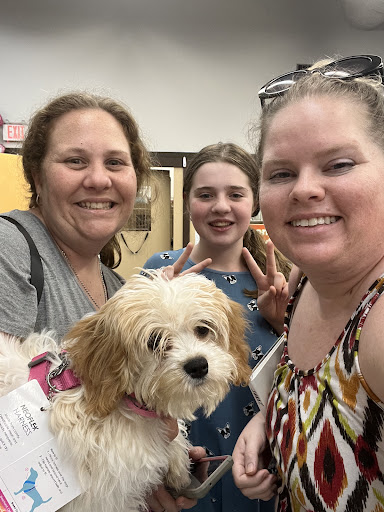 Pet Store «Petland», reviews and photos, 10289 Ulmerton Rd, Largo, FL 33771, USA