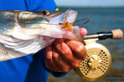 Tampa Fishing Charters - Fly fishing Tampa