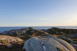 Randøya fort image
