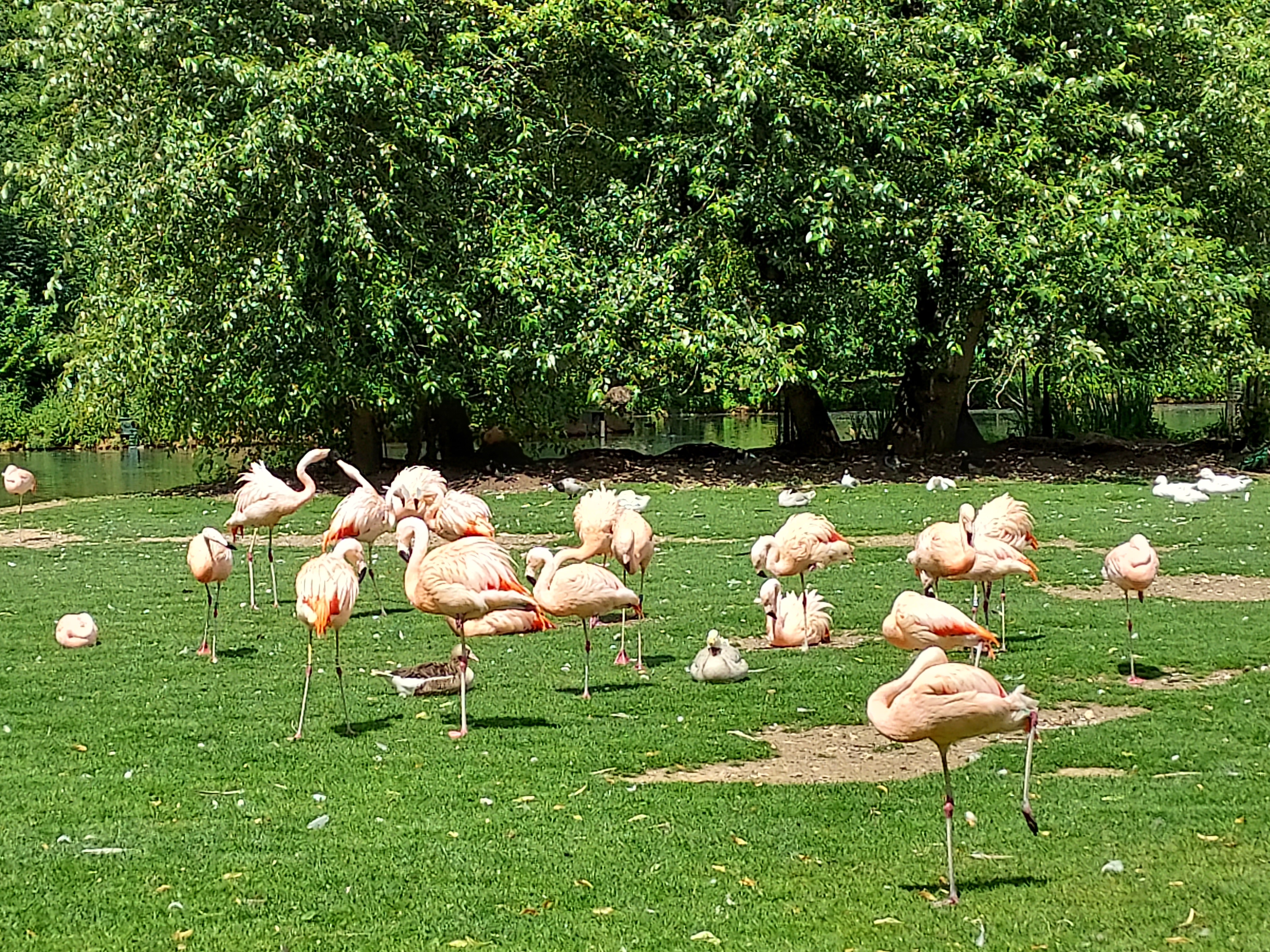 Photo n° 3 de l'avis de Marie-Claire.o fait le 03/07/2023 à 19:37