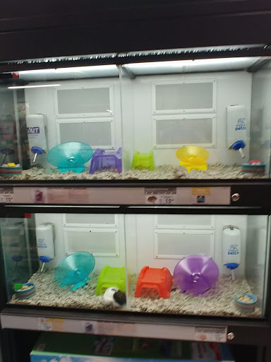 Pet Supply Store «Petco Animal Supplies», reviews and photos, 3800 S Tamiami Trail #20, Sarasota, FL 34239, USA