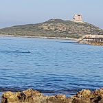 Photo n°1 de l'avis de Valentina.i fait le 25/02/2024 à 17:36 sur le  Bar Pasticceria Valentina à Isola delle Femmine