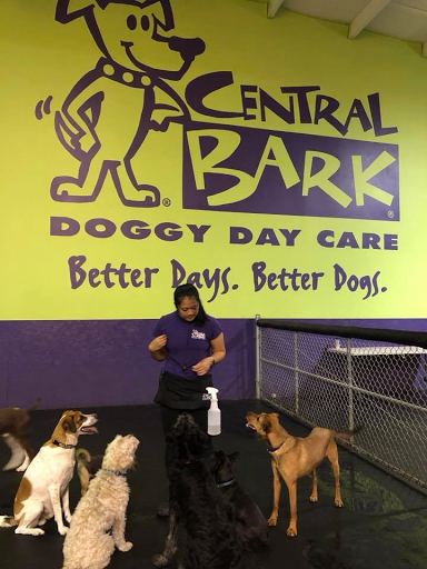 Central Bark Madison Southeast