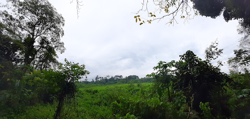 UMA Bioparque Saraguatos