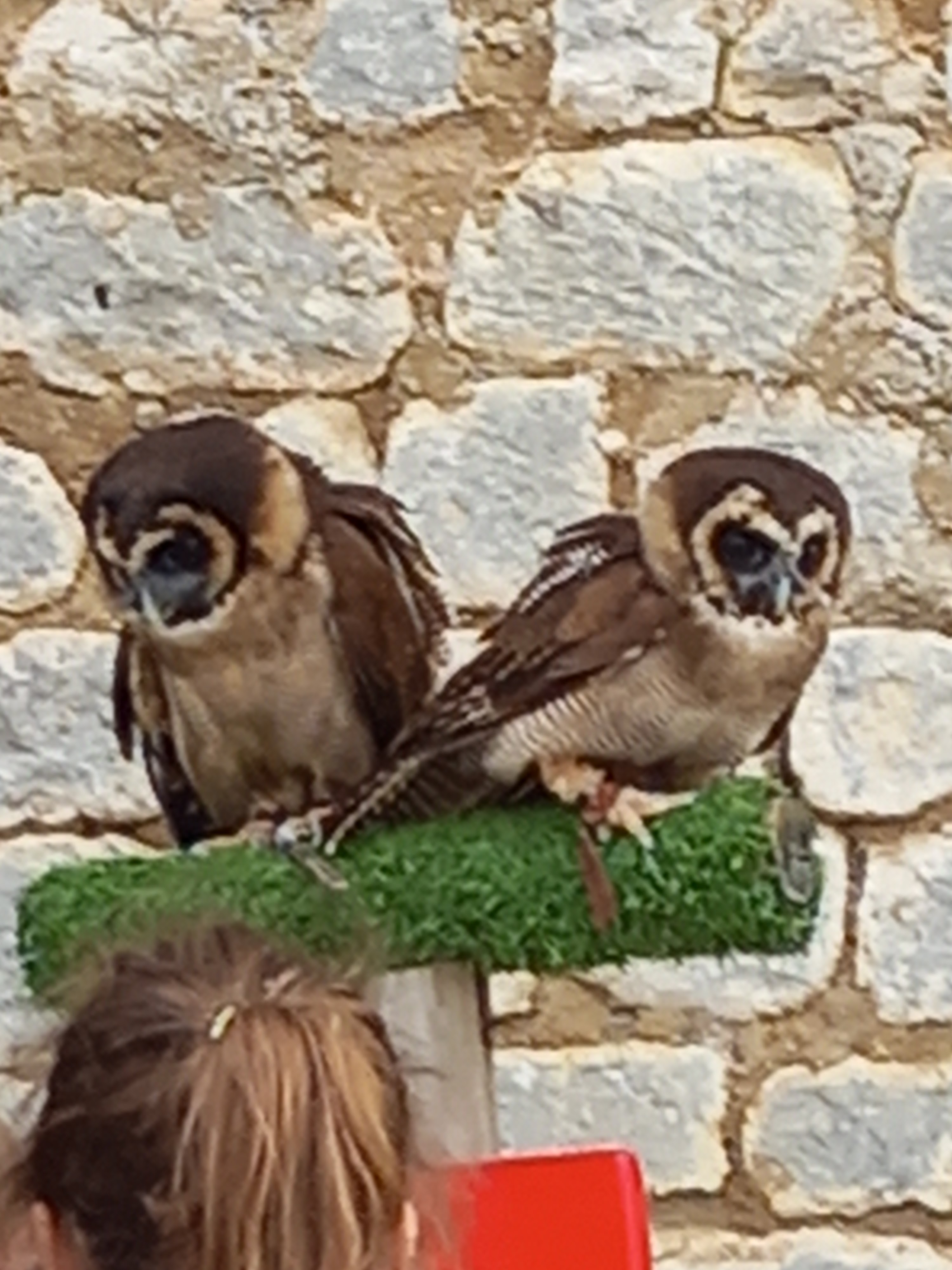 Photo n° 2 de l'avis de Benedicte.a fait le 30/08/2023 à 18:02
