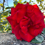 Photo n°7 de l'avis de Oscar.b fait le 23/04/2024 à 07:22 sur le  Olive Nature - Hotel & SPA à Valpaços