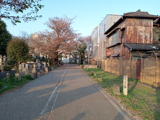 芸術墓地 東京