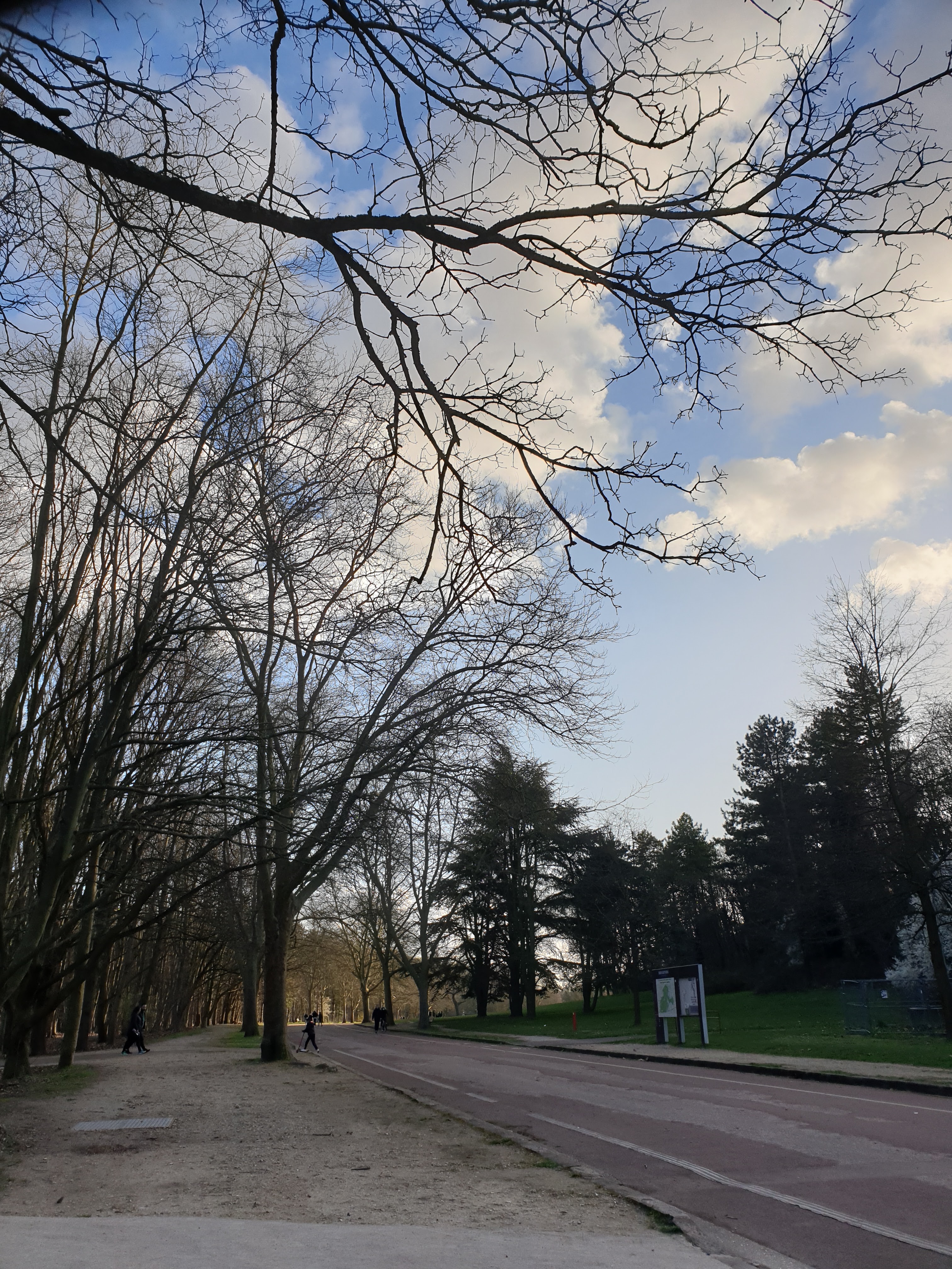 Photo n° 41 de l'avis de Maria.o fait le 01/01/2018 à 17:41