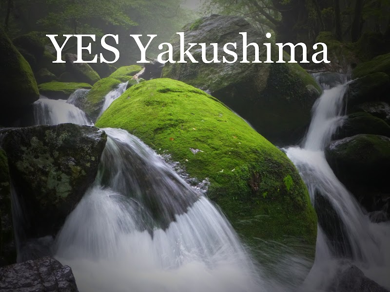 Yakushima English Services (YES)