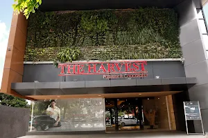 The Harvest Cakes - Mangga Besar image