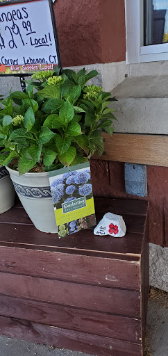 Supermarket «Big Y», reviews and photos, 224 Salem Turnpike, Norwich, CT 06360, USA