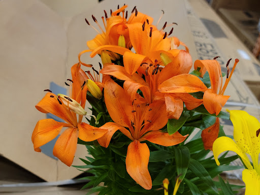 Home Improvement Store «The Home Depot», reviews and photos, 701 W Edgar Rd, Linden, NJ 07036, USA