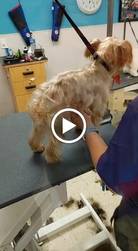 Pet Supply Store «Petco Animal Supplies», reviews and photos, 1951 N Military Trl c, West Palm Beach, FL 33409, USA