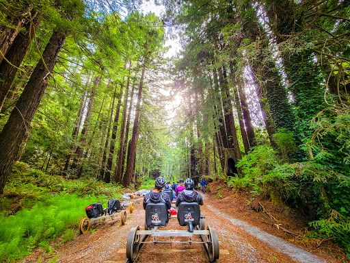 Tourist Attraction «Skunk Train», reviews and photos, 100 W Laurel St, Fort Bragg, CA 95437, USA