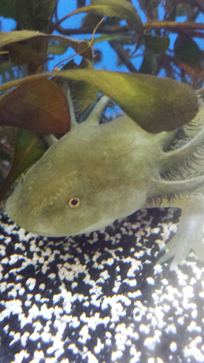 Pet Supply Store «Petco Animal Supplies», reviews and photos, 10 Sylvan St, Peabody, MA 01960, USA