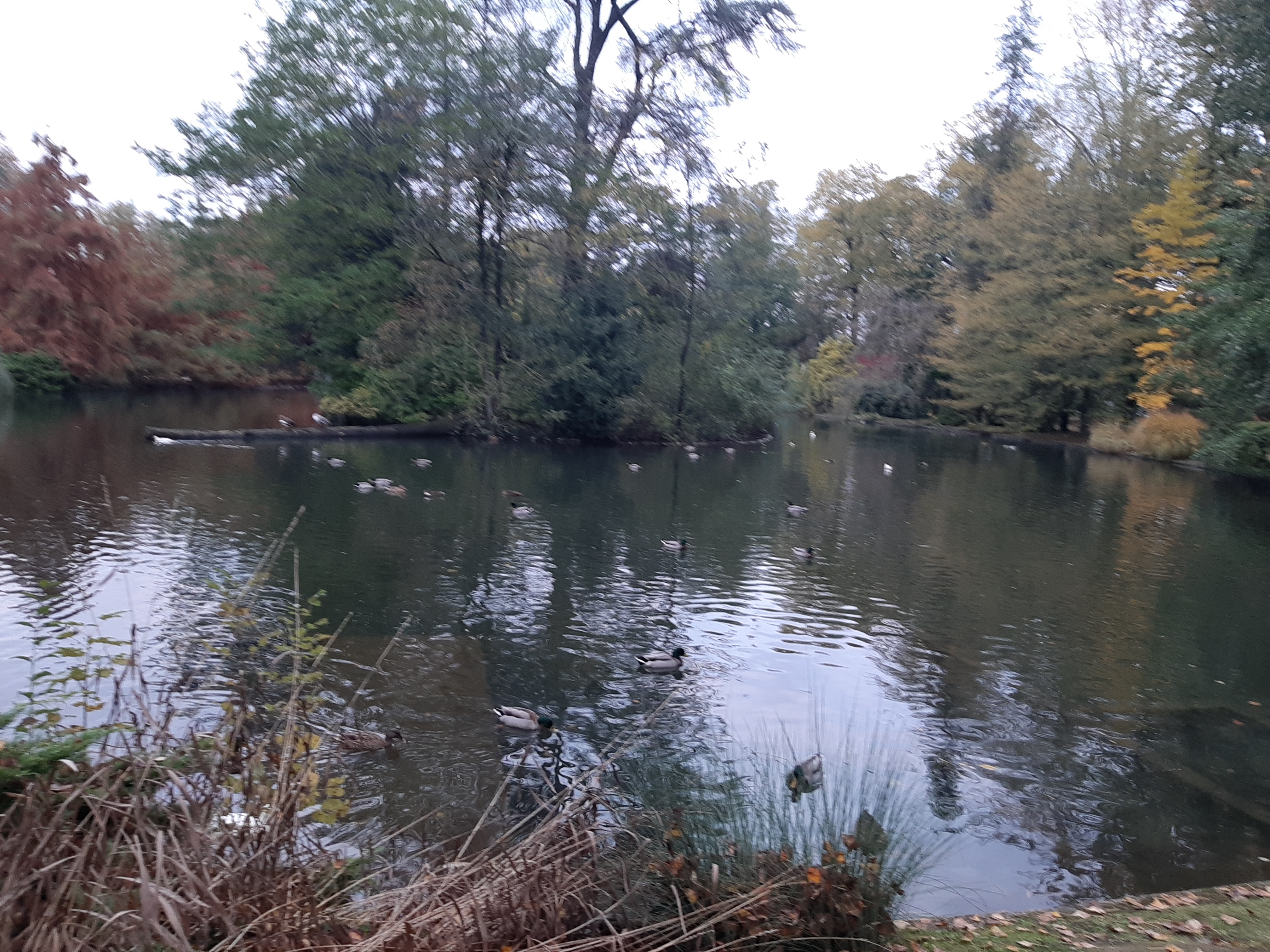 Photo n° 14 de l'avis de Nicole.r fait le 18/11/2019 à 17:46