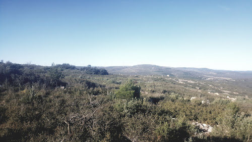 Collines De La Moure à Poussan