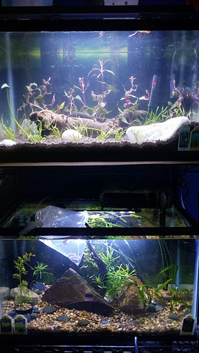 Pet Store «Something Fishy Pets», reviews and photos, 29 Towne Centre Ln, Fox Lake, IL 60020, USA