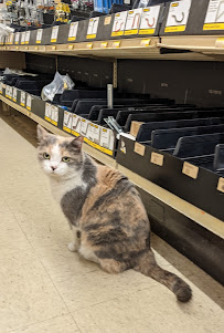 Brandt's Farm Supply, Inc. - Photo 4 - Car repair in Elizabethtown, PA, York