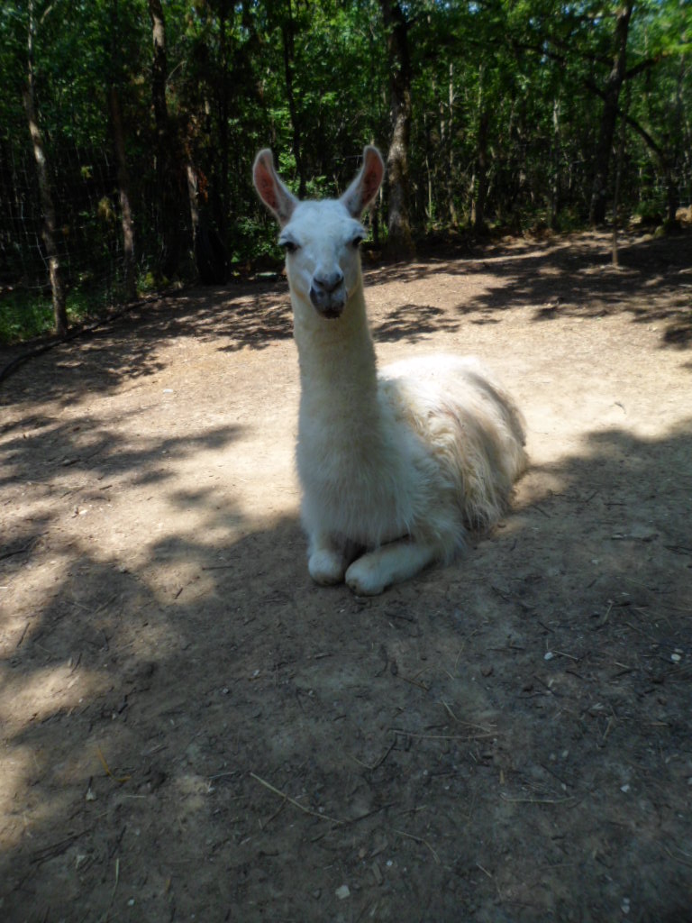 Photo n° 3 de l'avis de Christofer.E fait le 17/07/2017 à 21:15