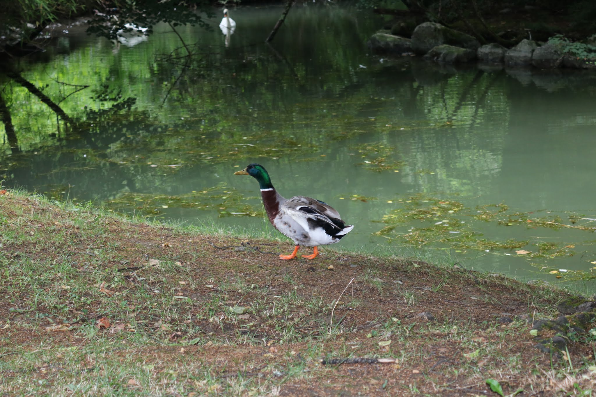 Photo n° 7 de l'avis de Nani.B fait le 28/07/2019 à 09:39