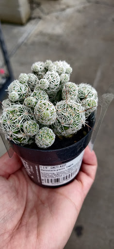 Home Improvement Store «The Home Depot», reviews and photos, 30144 US Hwy 19 N, Clearwater, FL 33761, USA