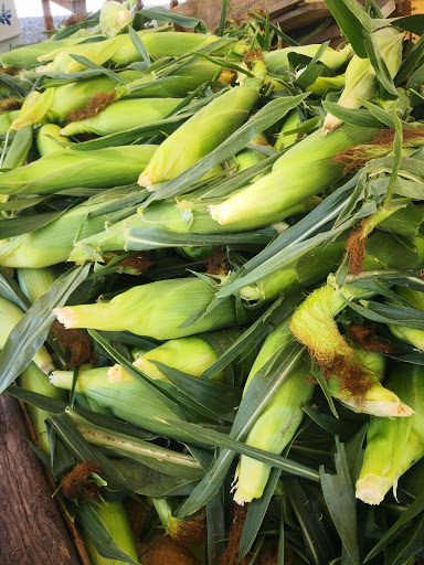 Farm «Langwater Farm», reviews and photos, 209 Washington St, North Easton, MA 02356, USA