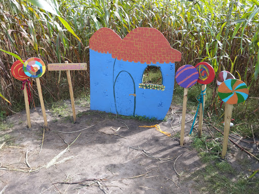 Tourist Attraction «Partin Ranch Corn Maze», reviews and photos, 5601 N Canoe Creek Rd, Kenansville, FL 34739, USA